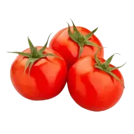 tomatoes