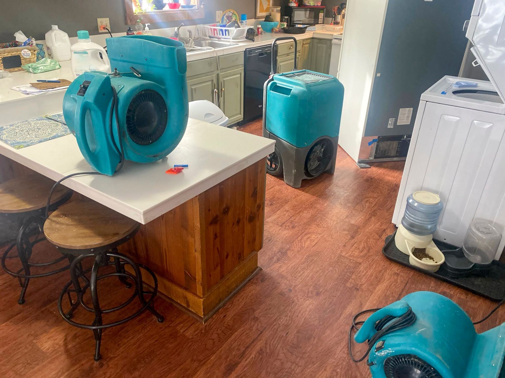 Blue air movers in a kitchen; likely drying after water damage.