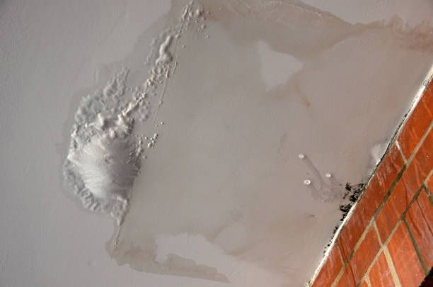 A paint blister, fungal mold, and water staining damage on a house ceiling.