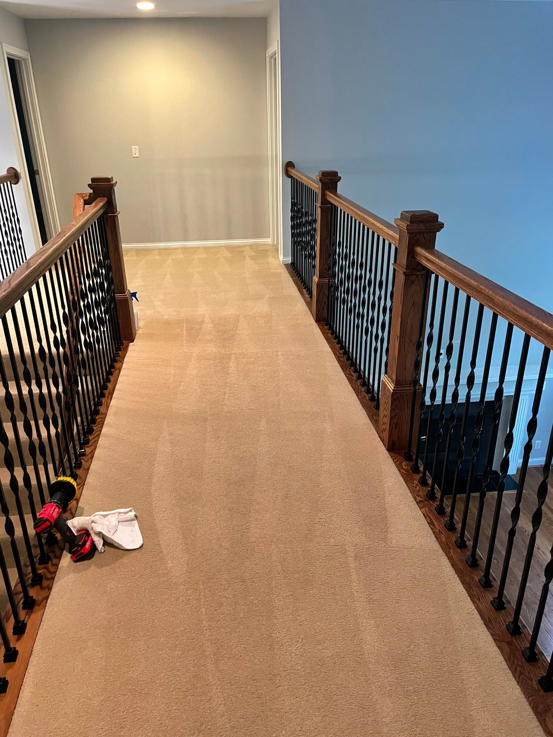 Carpet Cleaning – Cincinnati, OH - VesCo Residential Cleaning
