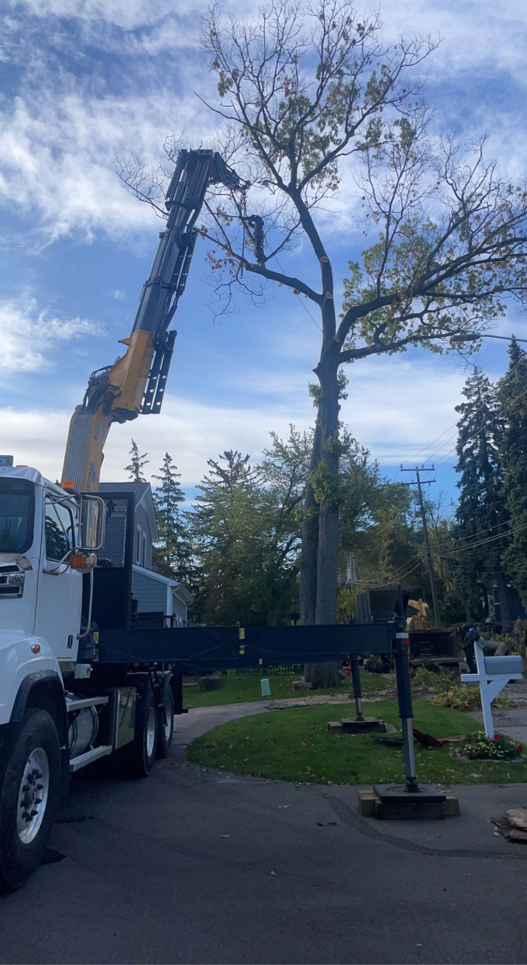 tree pruning waterford mi
