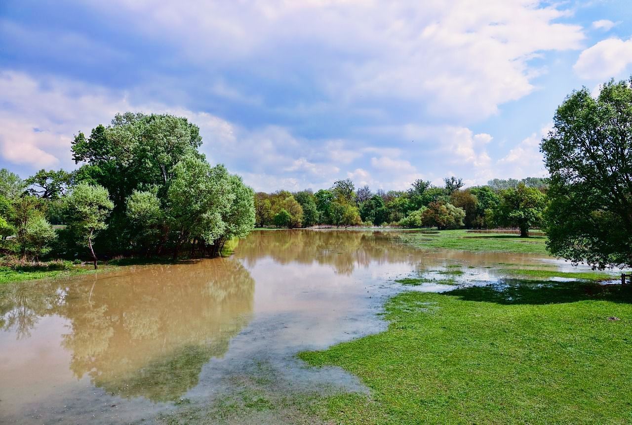 A flooded river surrounded by trees and grass on a sunny day.