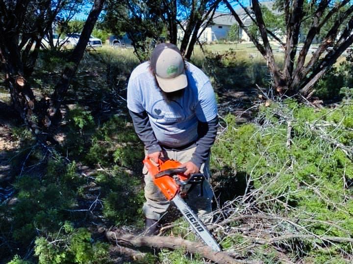 A man is using a chainsaw to cut a tree branch