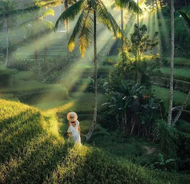 Victoria Opera House