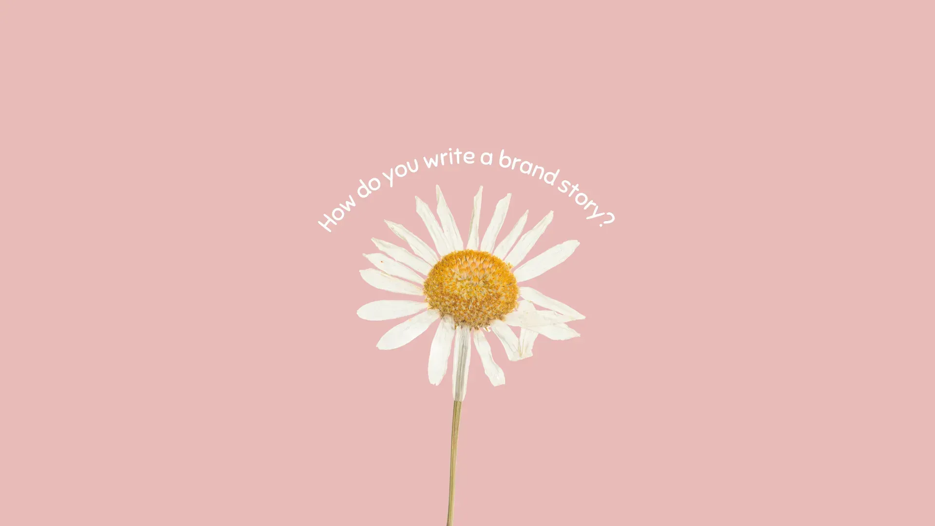 Victoria Opera House