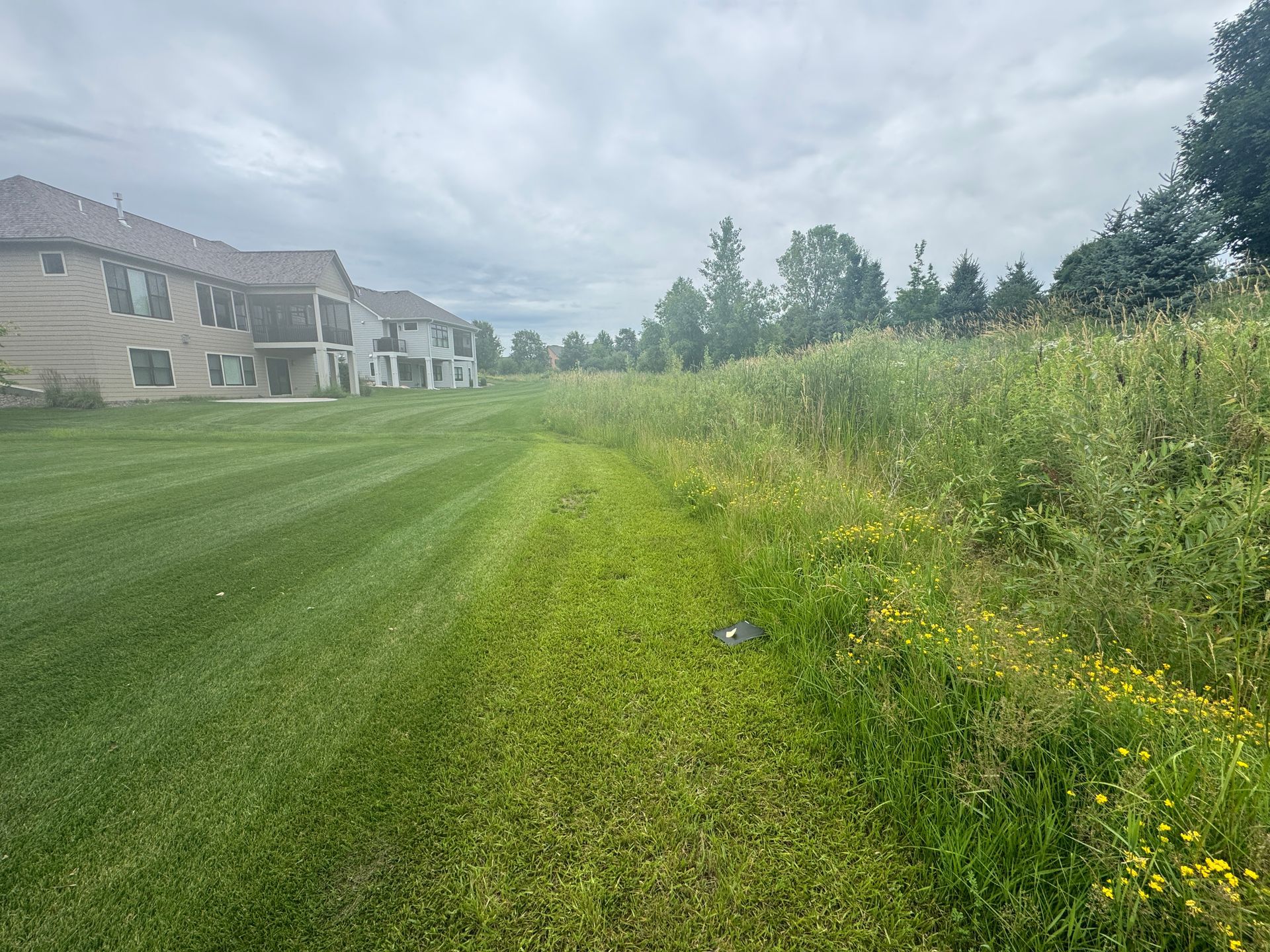 drainage+problem+backyard+lawn+ends+in+naturalized+area+with+no+low+spot+to+drain+water+from+french+drain+North+Oaks+MN