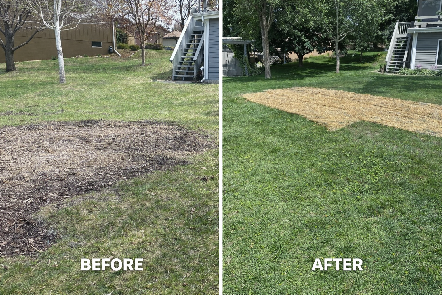 Before and after stump grinding and lawn renovation.