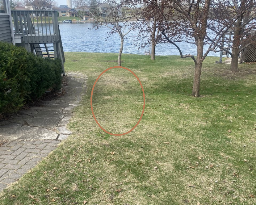 Before+pic+very+wet+sideyard+drainage+problem+in+property+line+swale+area+in+backyard+in+North+Oaks