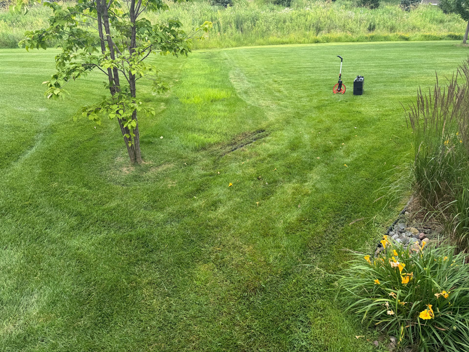 Before+pic+very+wet+sideyard+drainage+problem+in+property+line+swale+area+in+backyard+in+North+Oaks