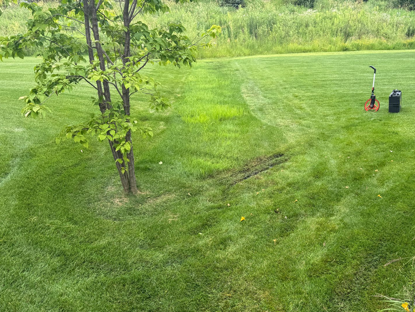 Before+pic+very+wet+sideyard+drainage+problem+in+property+line+swale+area+in+backyard+in+North+Oaks
