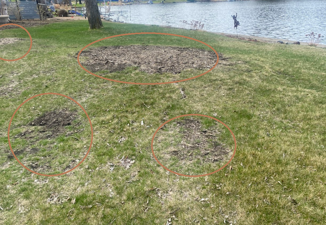 Before+pic+of+very+wet+sideyard+property+line+swale+area+in+backyard+in+North+Oaks+MN