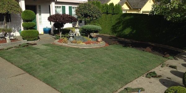 A lush green lawn in front of a house with a fountain in the middle.