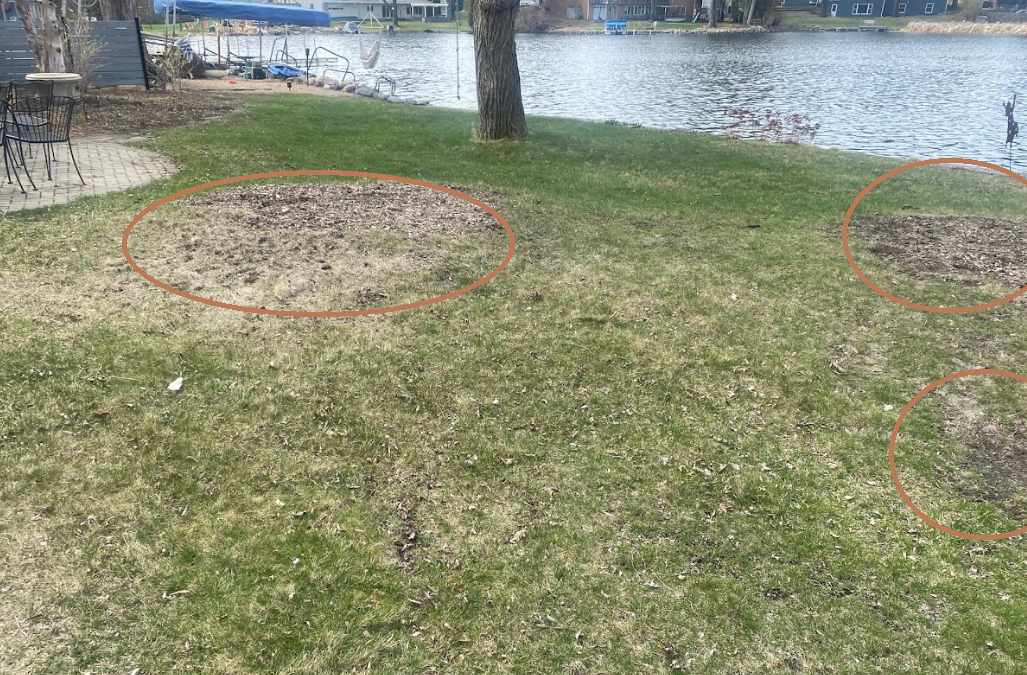 drainage+problem+backyard+lawn+ends+in+naturalized+area+with+no+low+spot+to+drain+water+from+french+drain+North+Oaks+MN