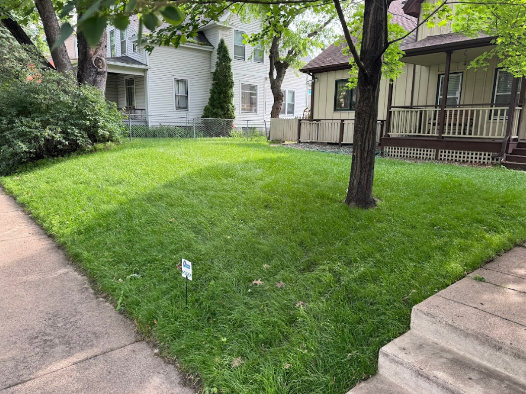 A freshly renewed lawn with a gentle slope to the sidewalk.