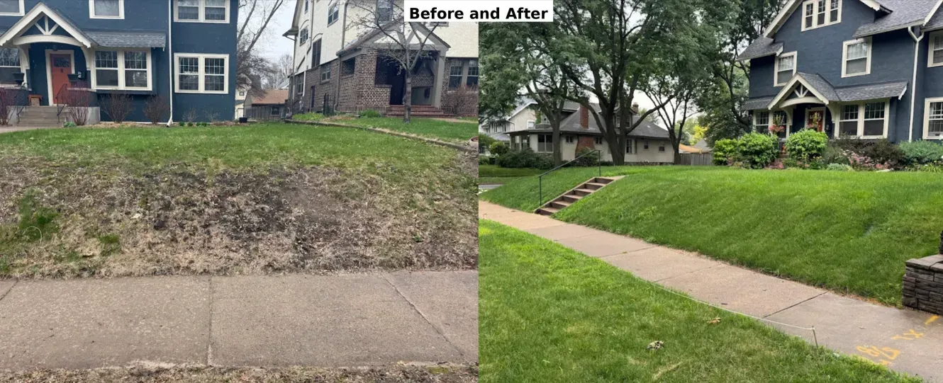 Before and after example of sloped front yard with drainage issues, now fixed and lawn restored. 