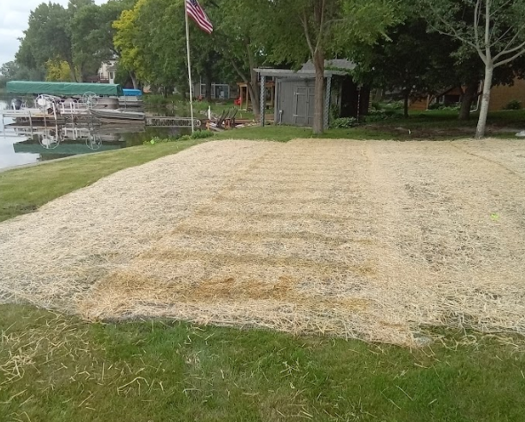 drainage+lawn+swale+area+so+wet+the+grass+cant+be+mowed+its+too+muddy+so+grass+is+very+long+and+sedge+is+growing+MN