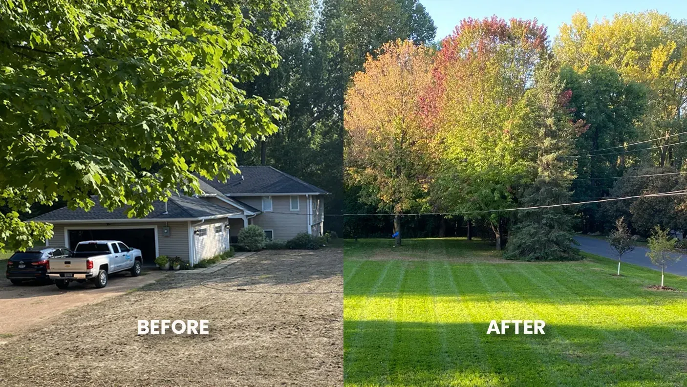 Lawn renovations before and after picture of aeration and overseeding in Minnetonka MN KG Landscape 