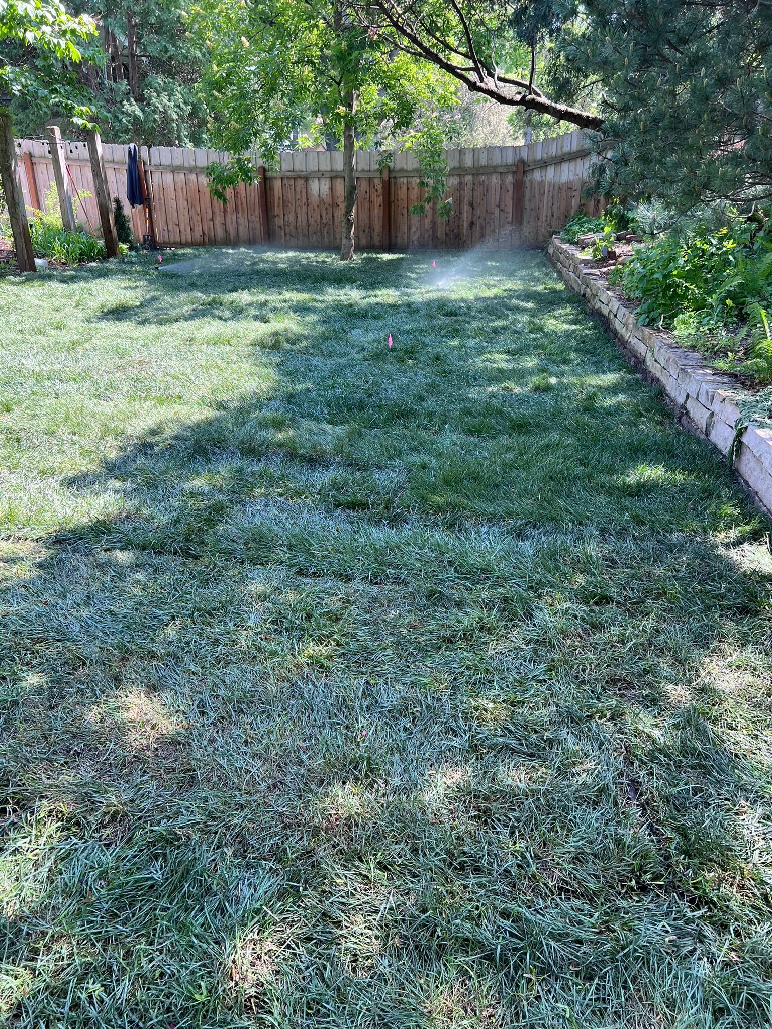 After pics regraded the Lawn and swale to smoothed then sod installed repaired and testing irrigation