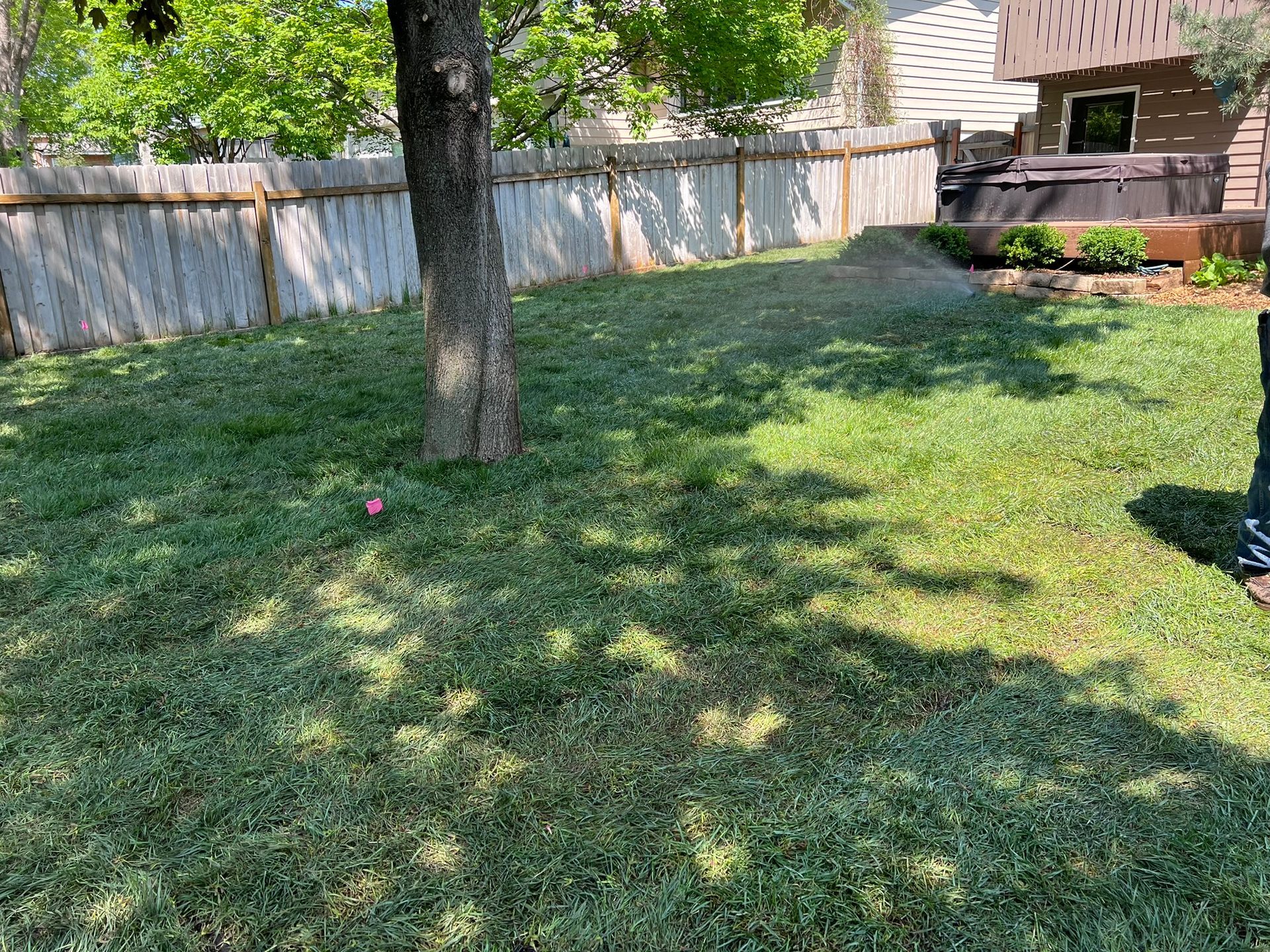 After+picture+New+French+drain+installed+backyard+regraded+nice+green+sod+MN+KG+Landscape