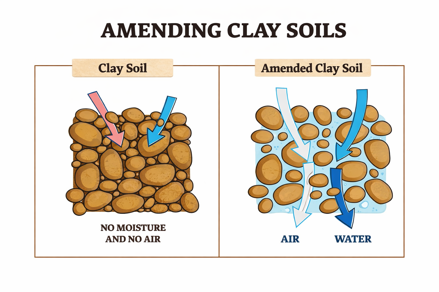 diagram showing how amending clay soils will improve air and water flow