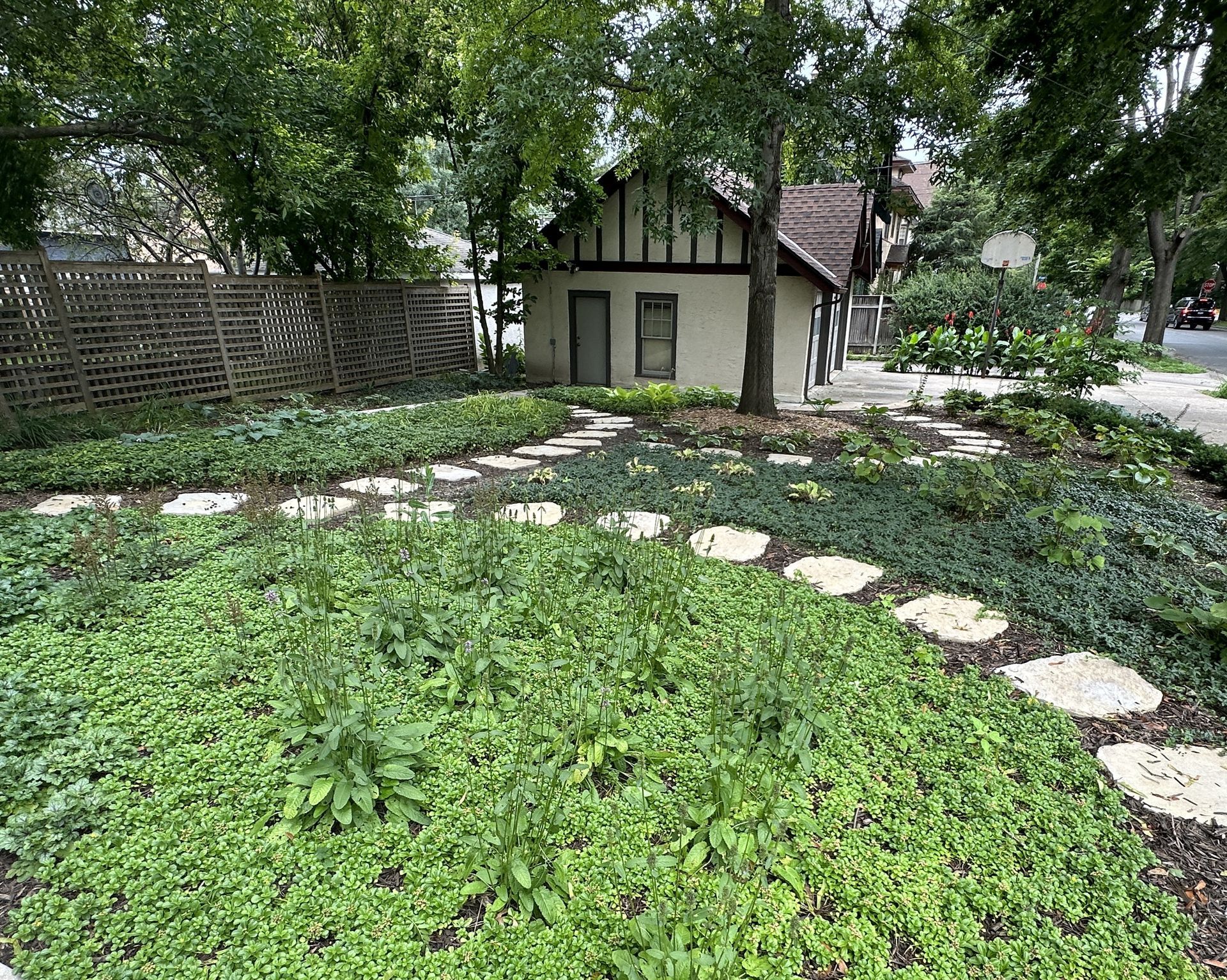 Backyard ground cover landscaping as low maintenance lawn alternative in Minneapolis MN by KG Landscape