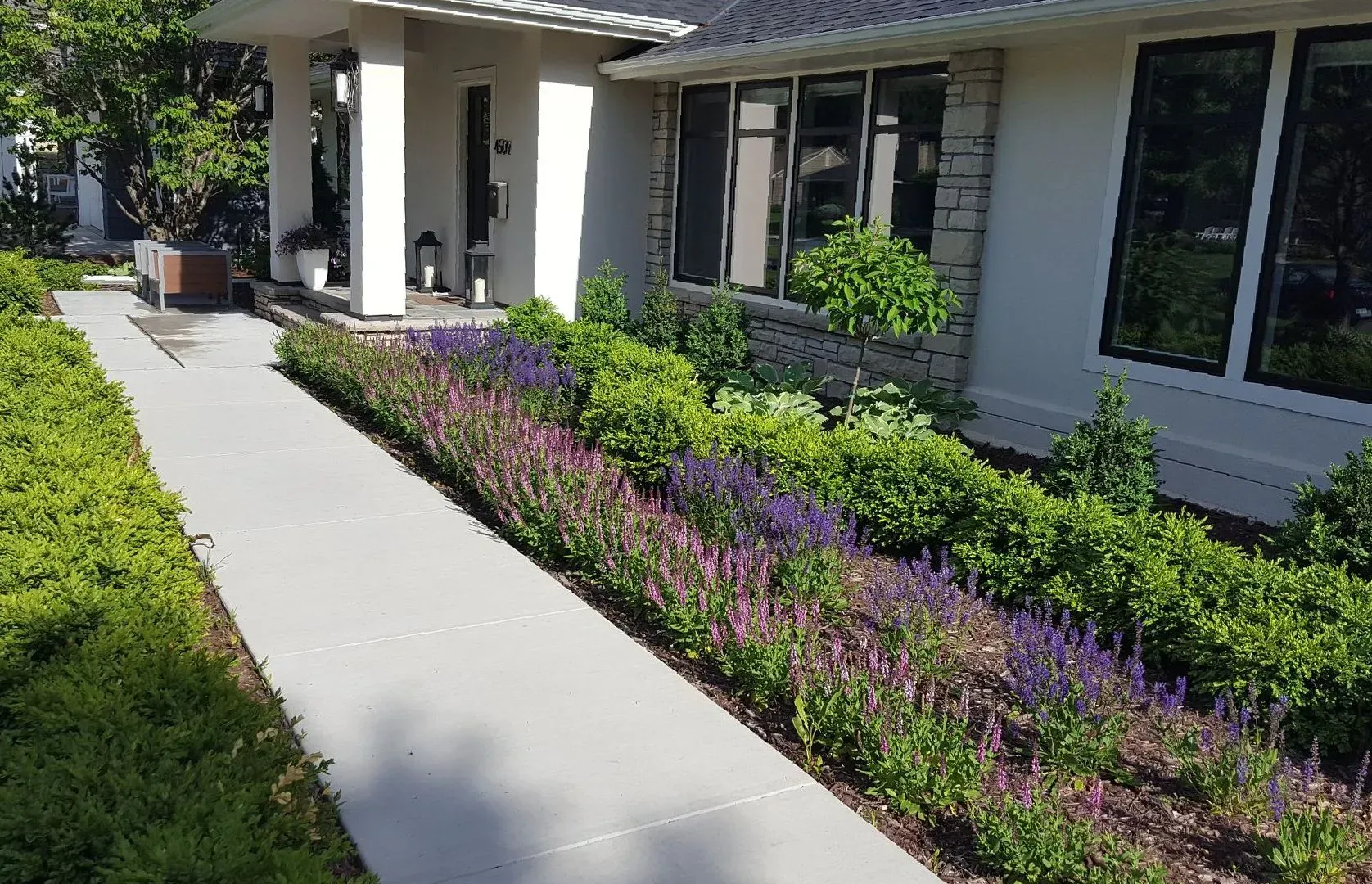 Beautiful front yard with modern landscaping with pink and purple flowers.