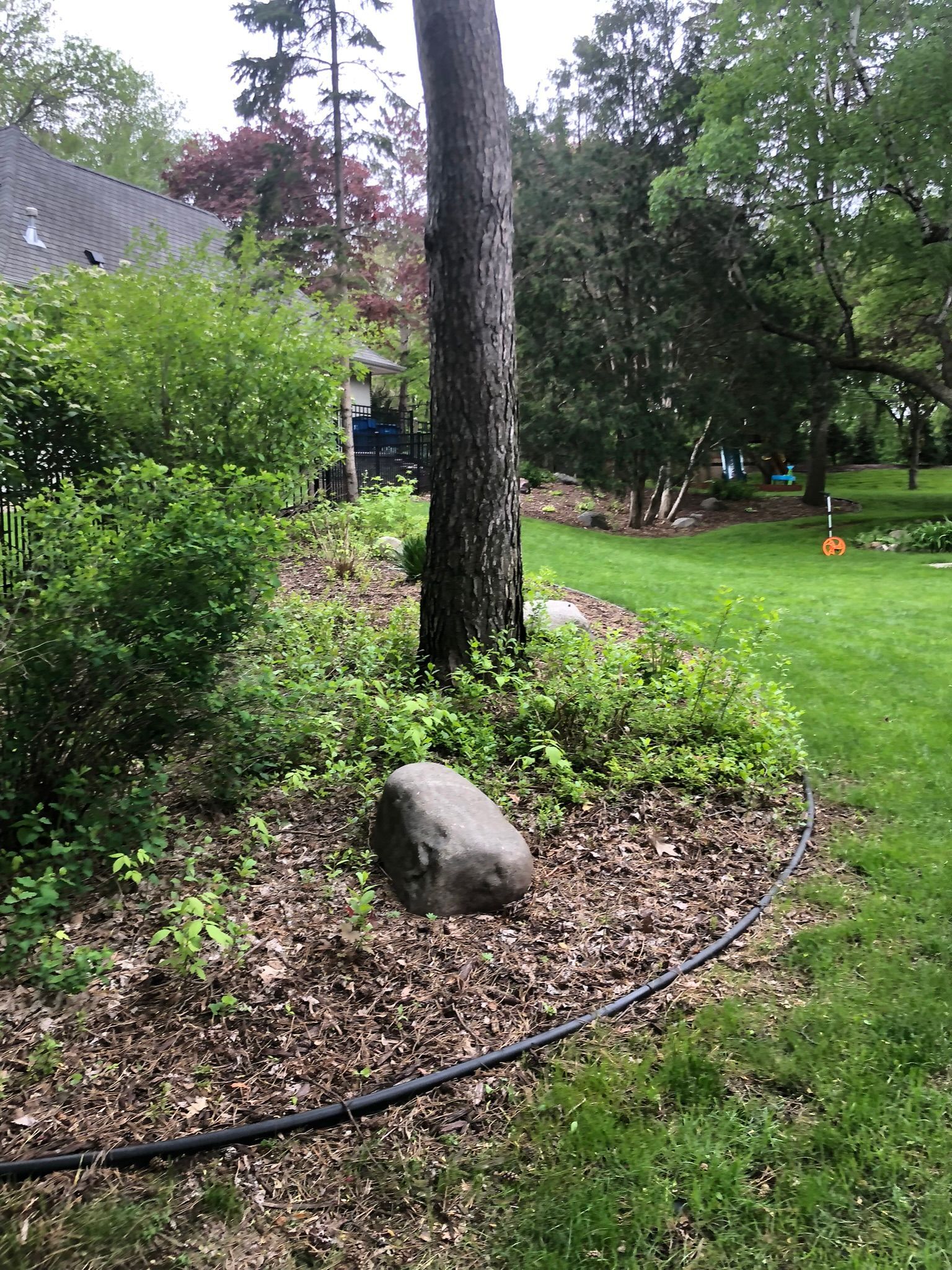 Old planting bed before picture about to get redone in MN 