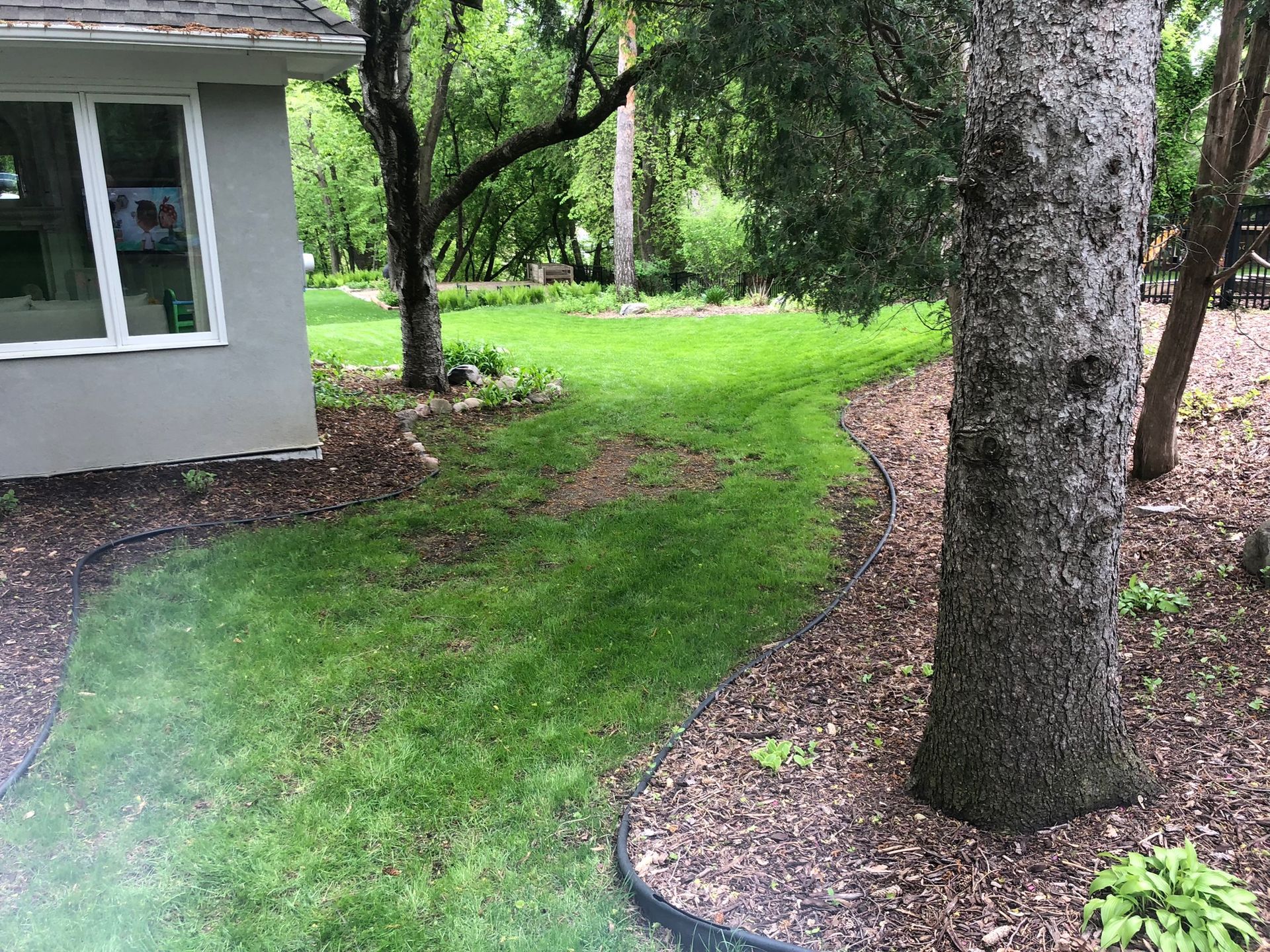 Before pic of Minnetonka backyard without a patio yet