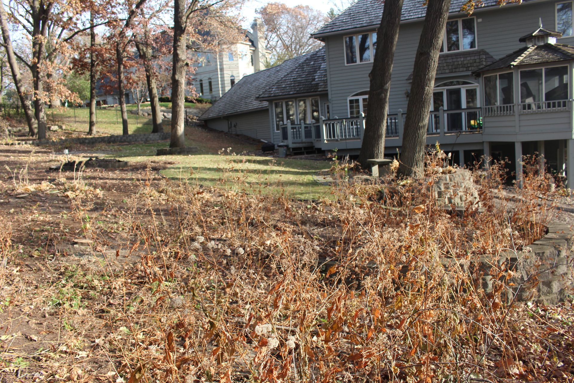 backyard on a hill with weeds and no flat useable space
