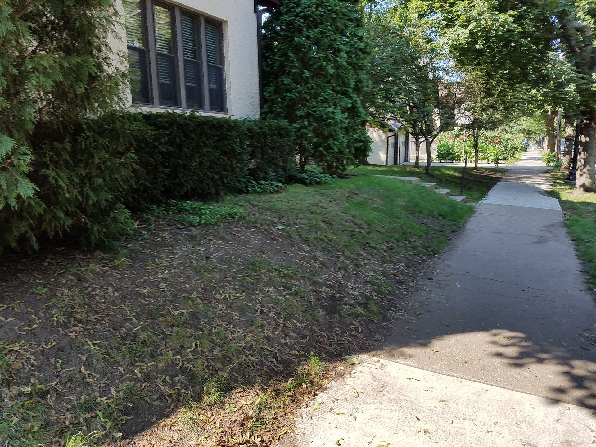 Before photo of steep side yard with no way to walk around the house in Minneapolis