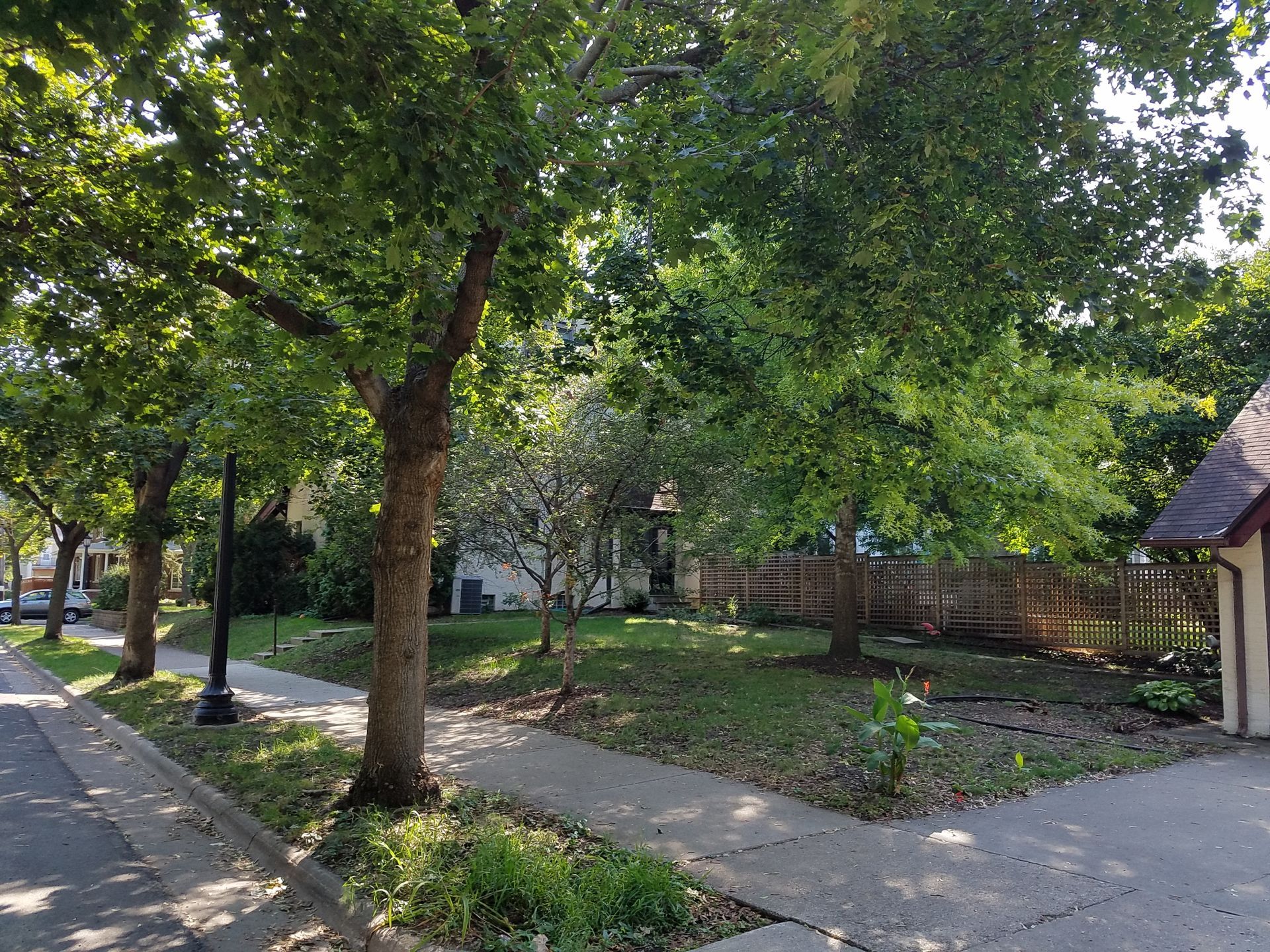 Before photo of thin shaded lawn that is mostly dirt in a Minneapolis backyard