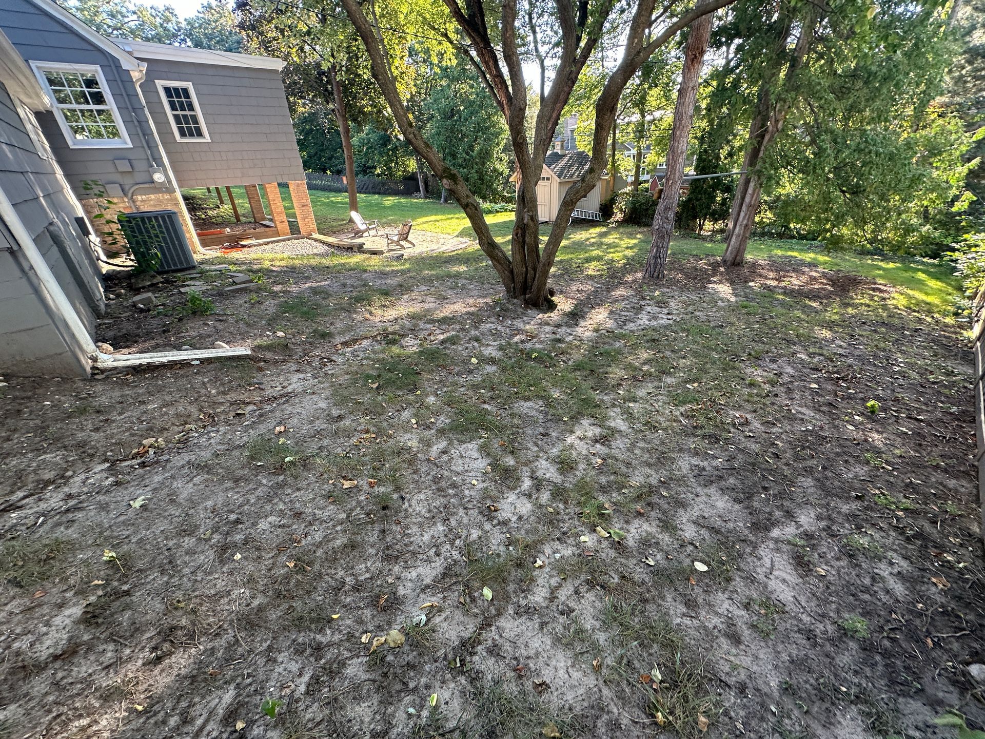 Grassy yard with a tree in the center, and a house on the left side.