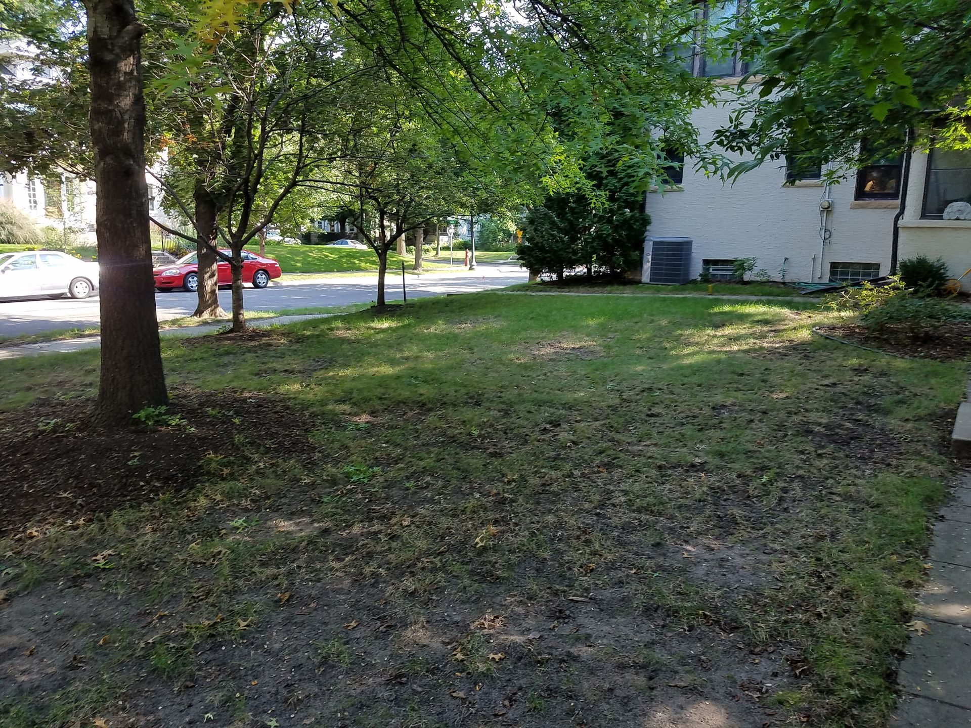 Before photo of shady thin lawn mostly dirt requiring constant reseeding in Minneapolis yard