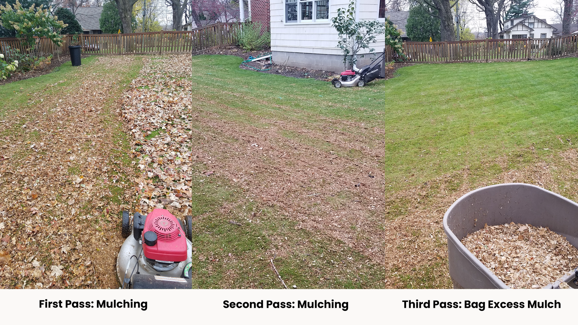 A lawn mower is being used to remove leaves from a lawn.