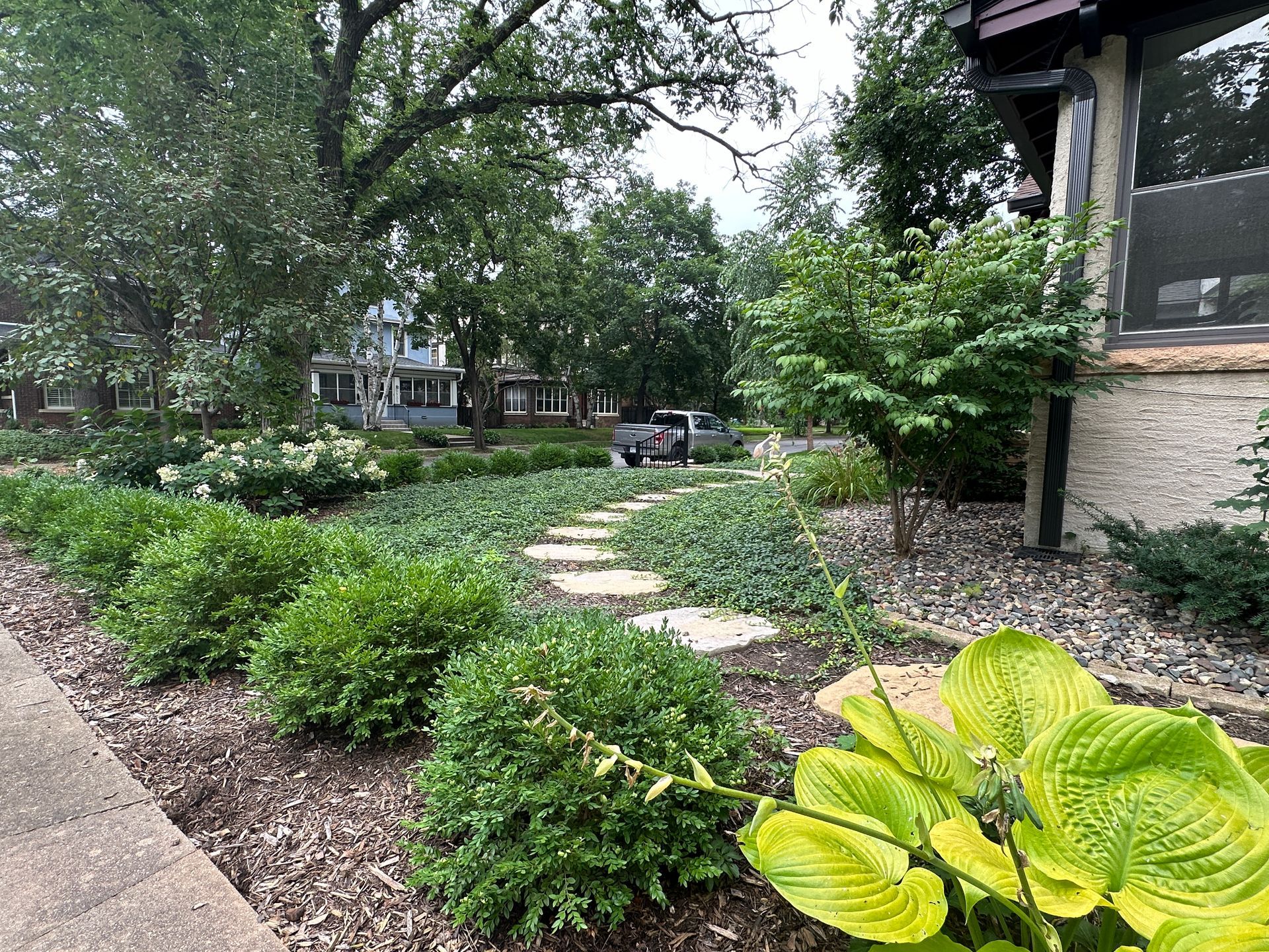 Colorful front yard landscaping with ground cover lawn replacing grass in Minneapolis by KG Landscape