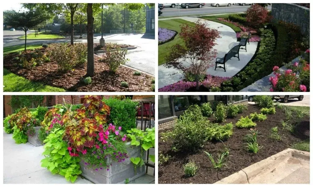 Four landscape designs: tree beds, curved walkway with benches, planters, and a bed near a curb.