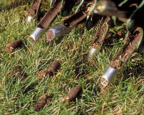 A close up of a person using a lawn mower on a lush green lawn.