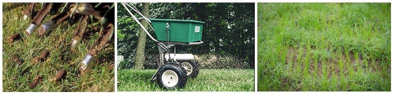 A lawn spreader is being used to spread fertilizer on a lush green lawn