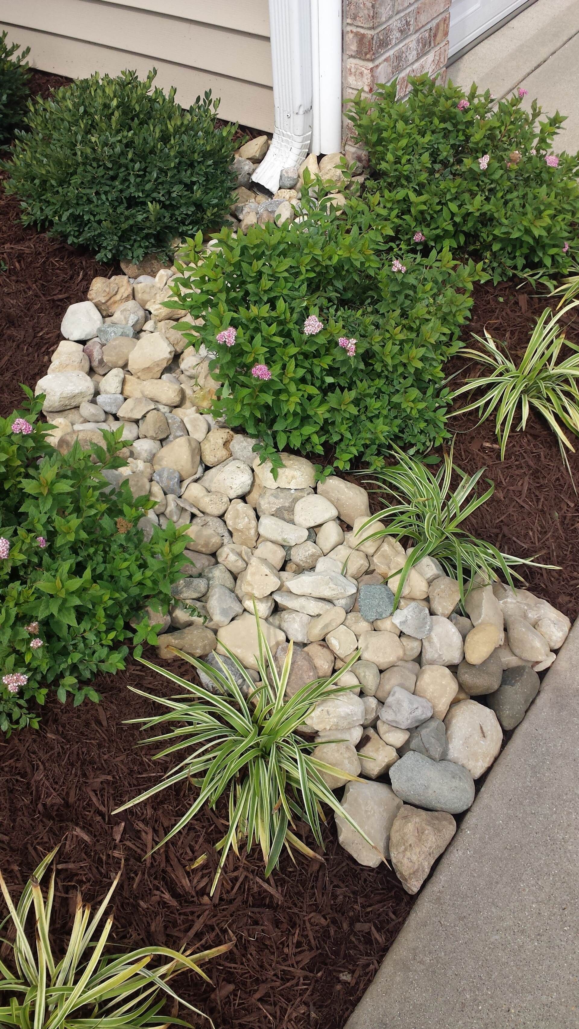 A garden with rocks and plants next to a sidewalk and a house.