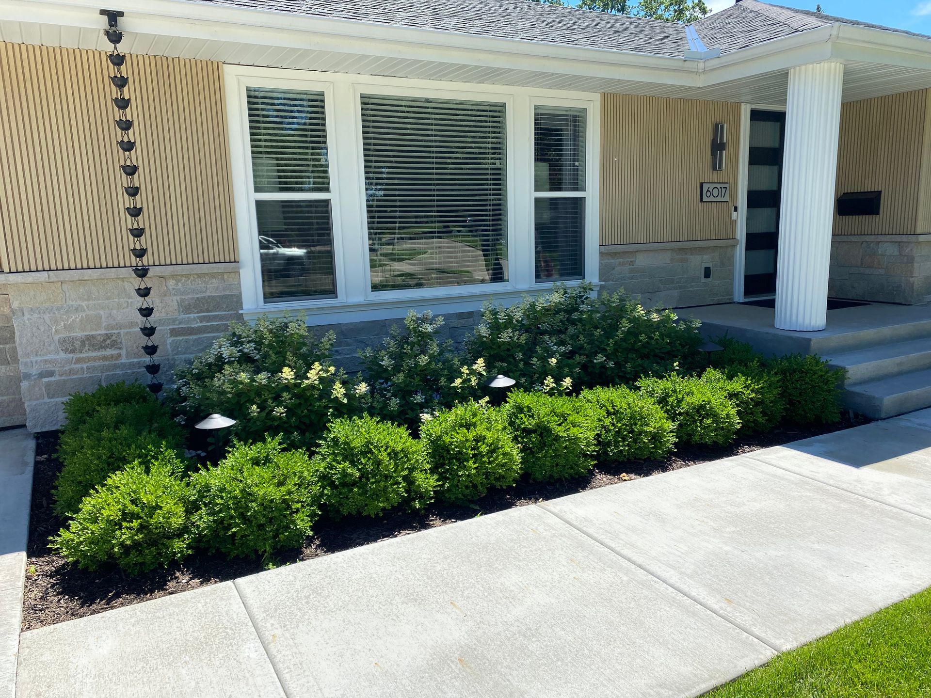 Front+Yard+Curb+appeal+landscaping+modern+style+with+boxwoods+and+hydrangeas+modern+clean+looking+easy+simple+Edina+MN+KG+landscape