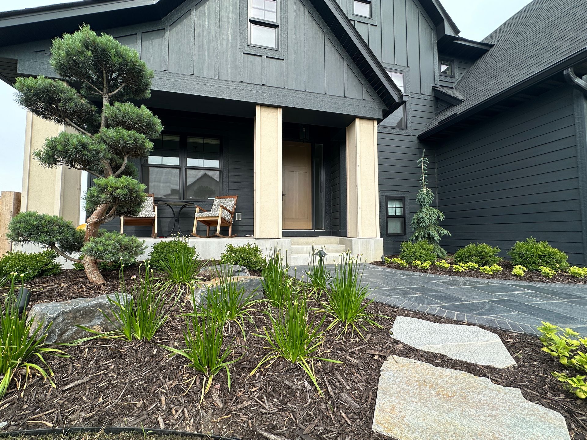 Front yard landscape design with scotch pine Bonna Hindu Pan focal point flagstone steppers plantings black paver walkway KG Landscape Plymouth