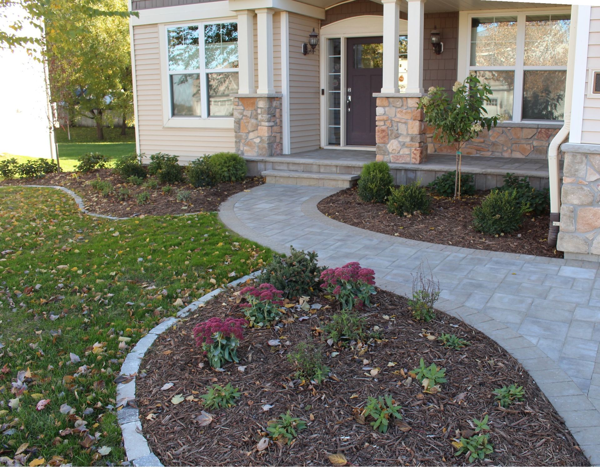 Front+Yard+Low+Maintenace+Landscaping+Design+Alliums+evergreens+mulch+Minneapolis+MN+KG+Landscape