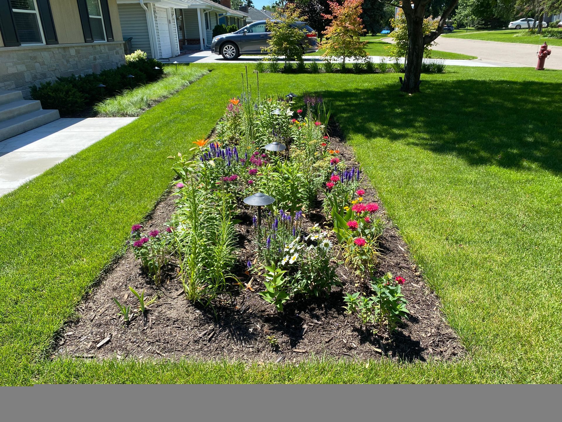 Front+yard+perennial+flower+garden+bed+ideas+rectangular+island+bed+in+lawn+Edina+MN+KG+Landscape+perennials-