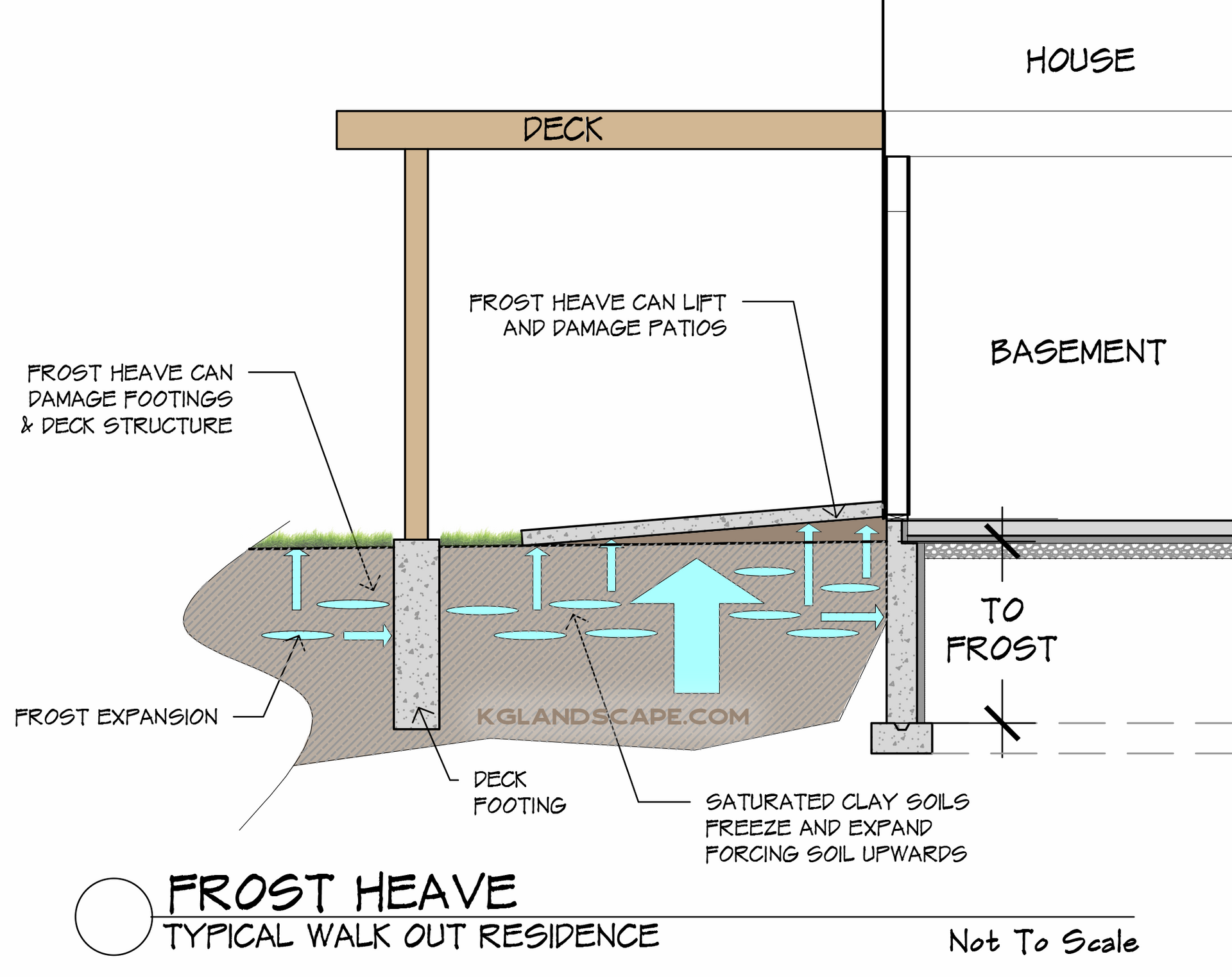 Before image of thin and shaded lawn that is mostly dirt in Minneapolis, MN backyard. 