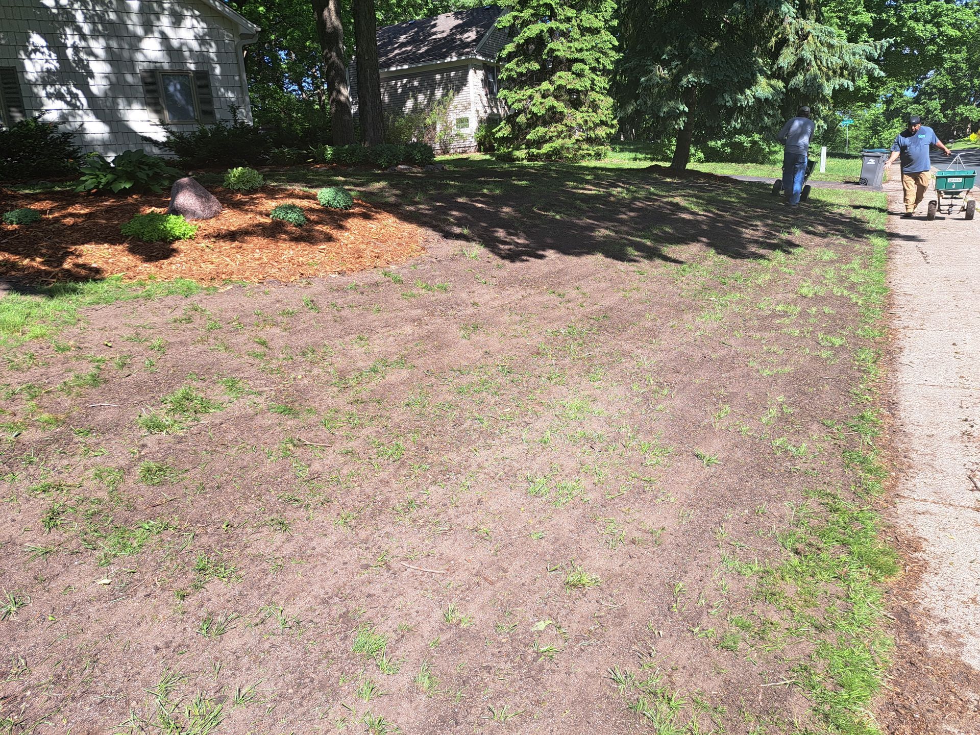 Lawn with fresh organic topdressing.