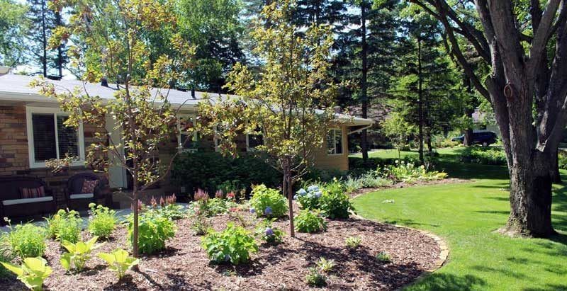 Colorful new front entry landscaping  in St. Louis Park MN by KG Landscape with crab trees colorful flowers perennials mulch beds stone edging rambler home