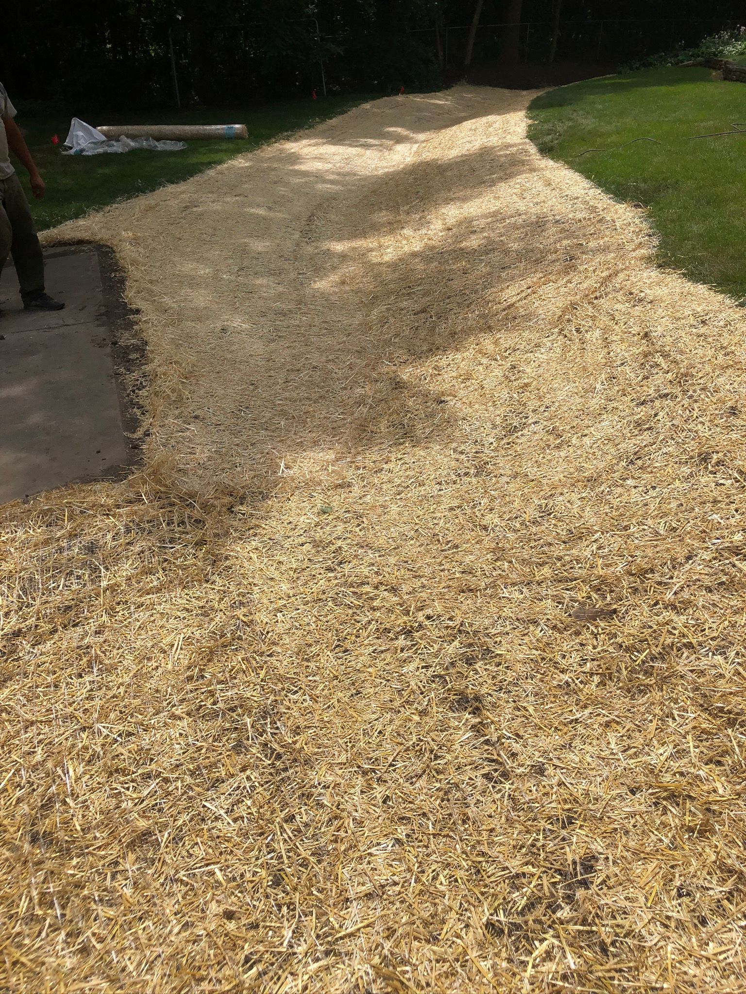 Swale grading outdoor drainage Minneapolis covered with seed blanket