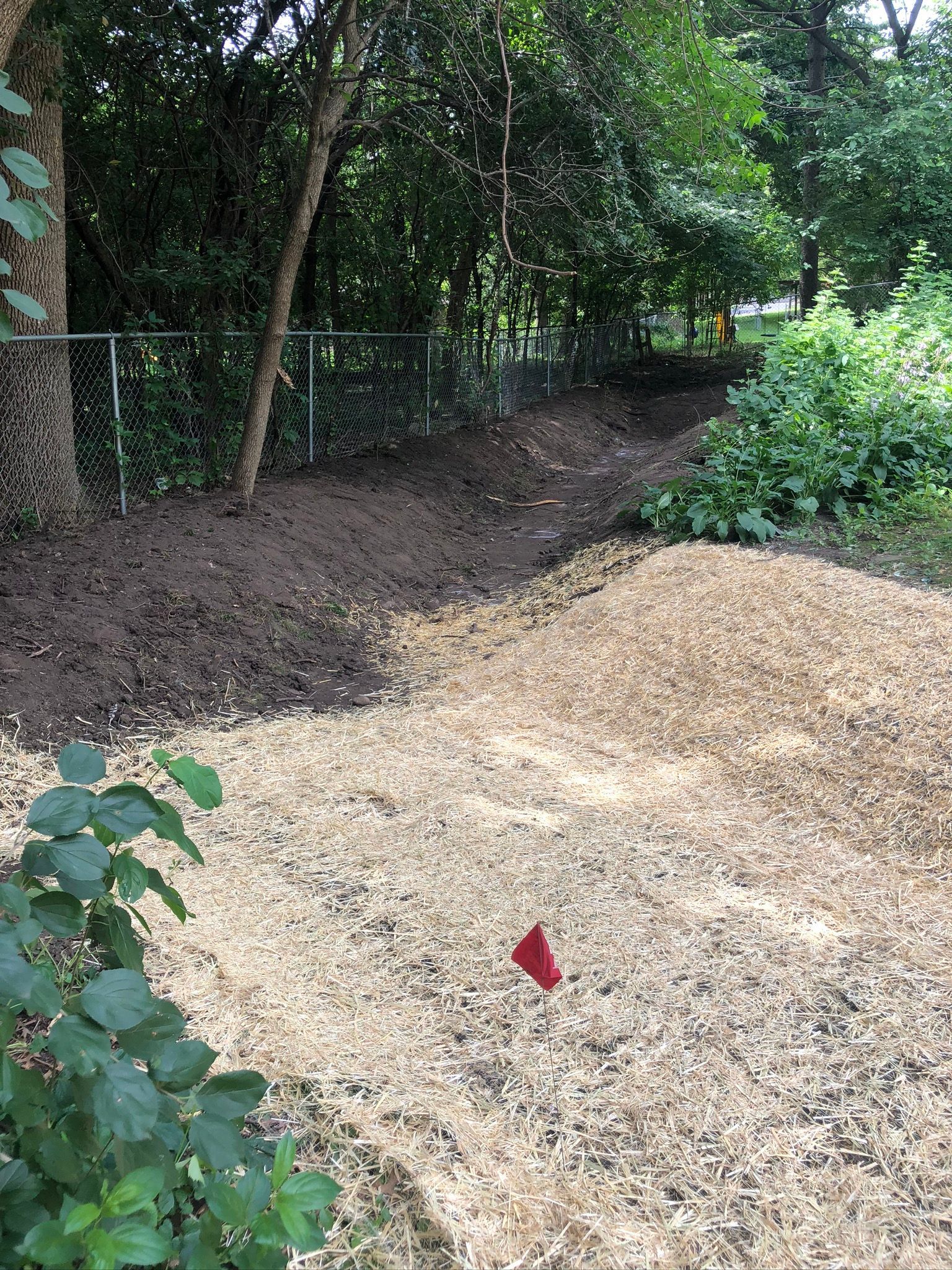 Graded low area for water to drain into Swale grading outdoor drainage Minneapolis 