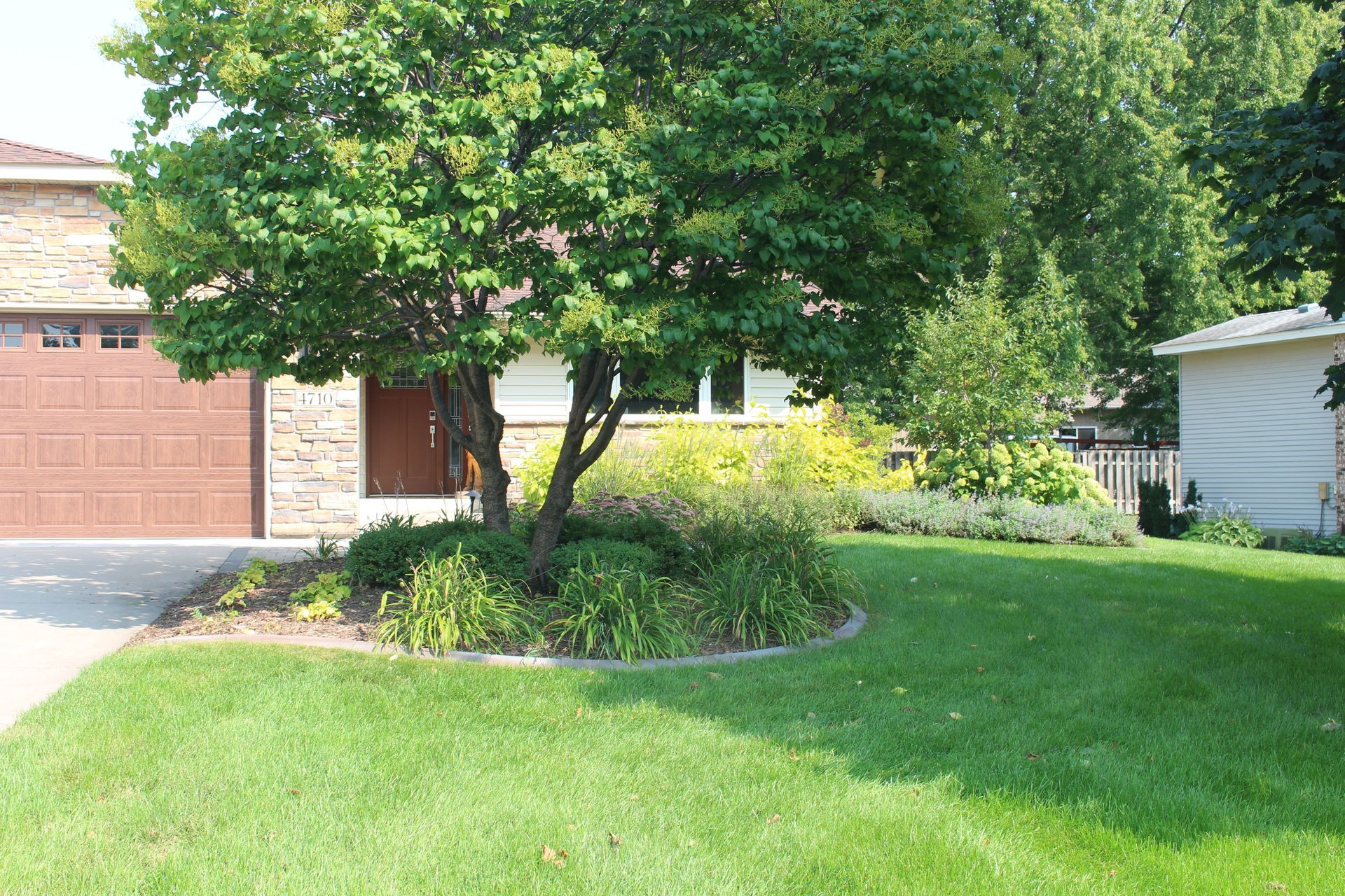 Front yard landscaping with lilac tree garden glow dogwoods  grasses hydrangeas flowers north oaks MN KG Landscape Designers
