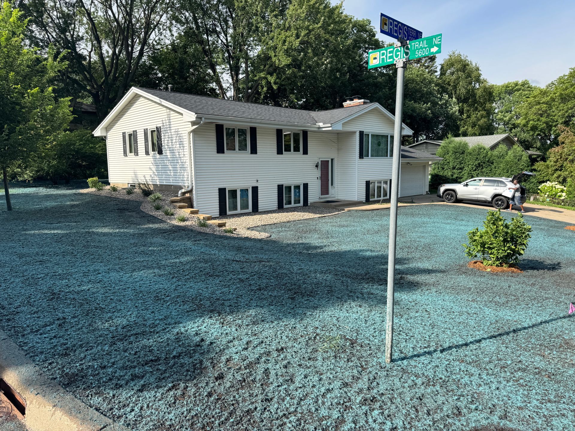 Hydroseeded lawn in MN by KG Landscape after regrading and landscaping refresh with new rock, edgin and plants